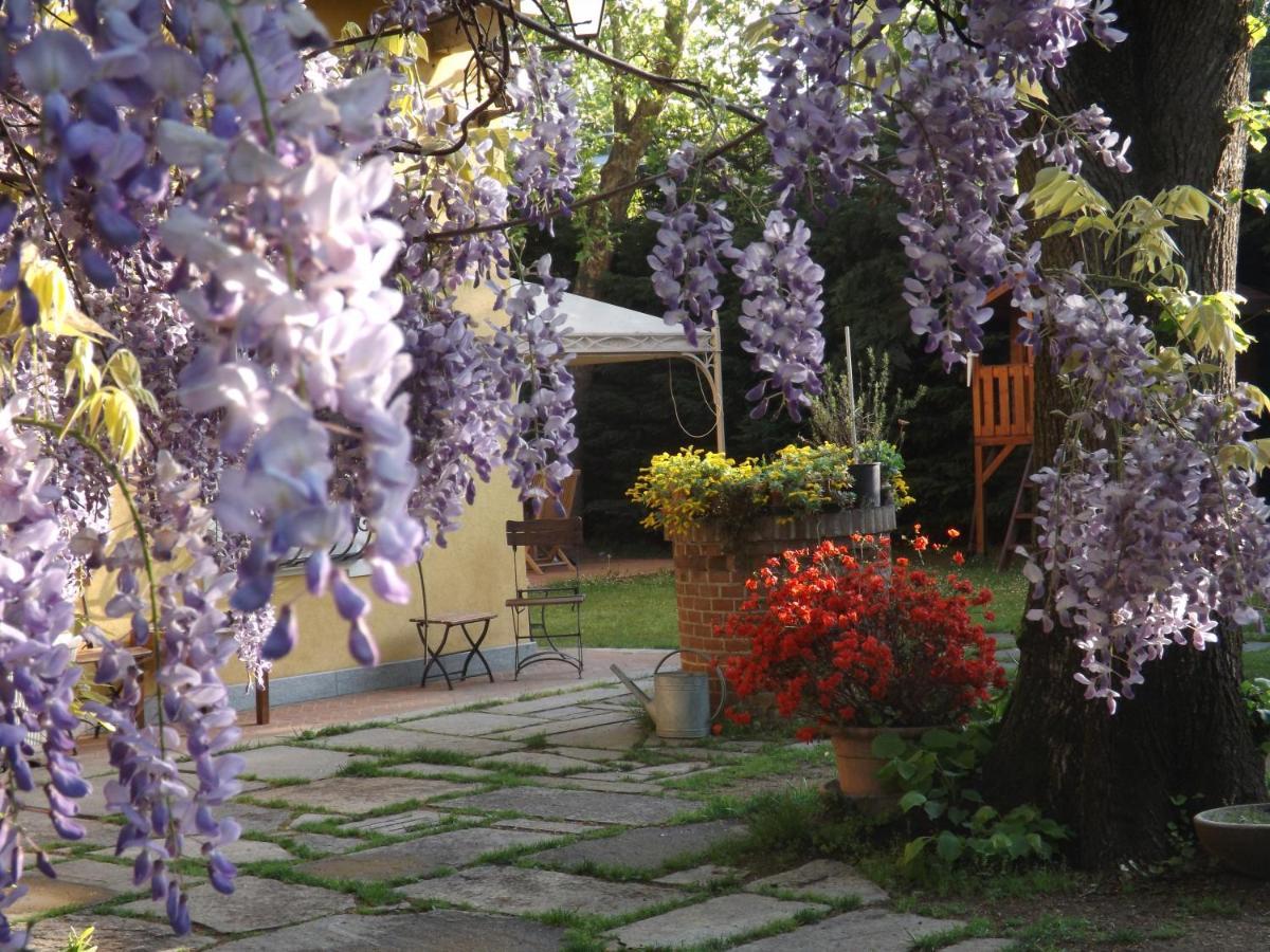Villa Mirano Bed & Breakfast Piossasco エクステリア 写真