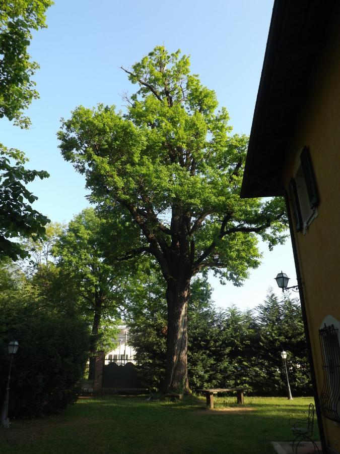 Villa Mirano Bed & Breakfast Piossasco エクステリア 写真